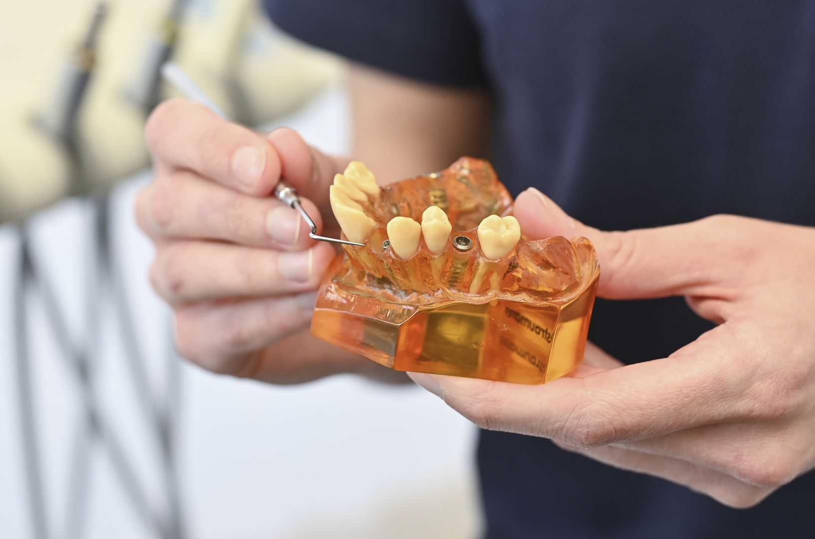 Eine Person präsentiert ein Zahnmodell, um die Technik der Zahnreinigung zu erklären.